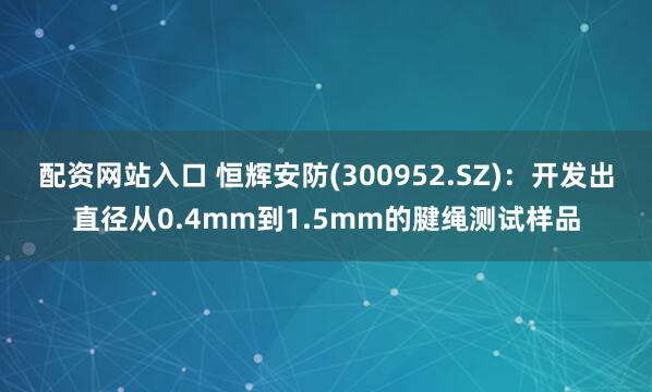 配资网站入口 恒辉安防(300952.SZ)：开发出直径从0.4mm到1.5mm的腱绳测试样品